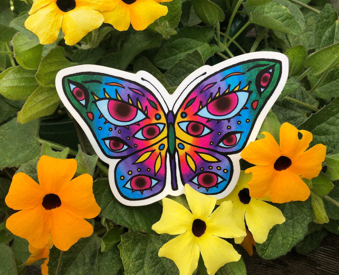 seeing butterfly sticker