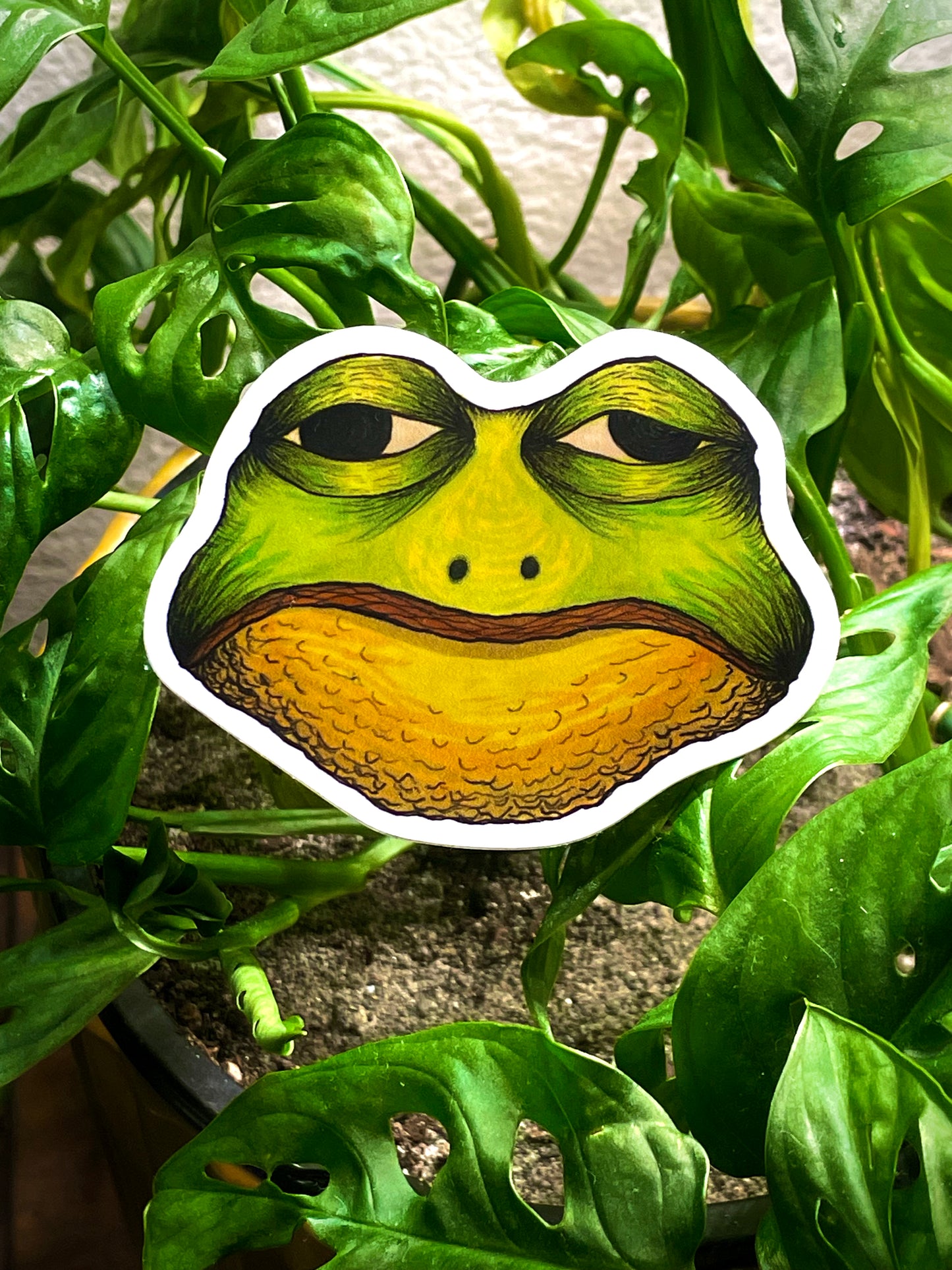 grumpy frog sticker