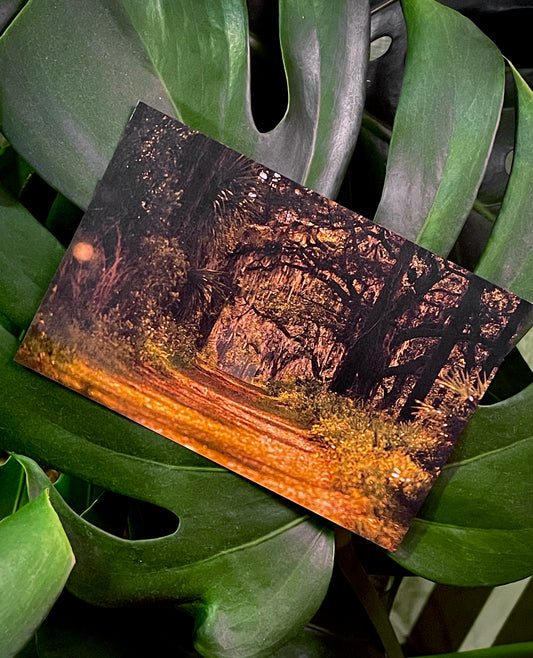 secret trail - print